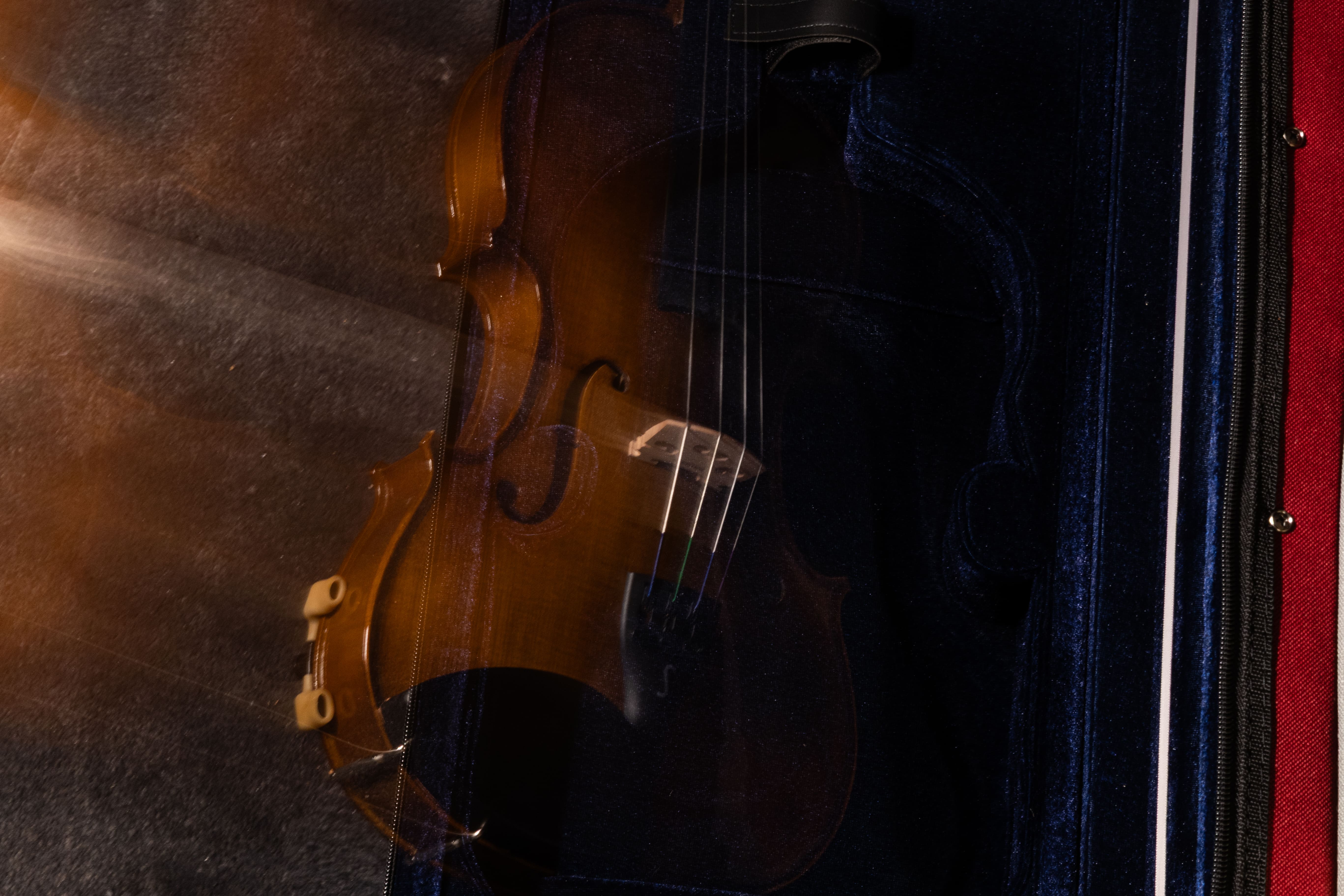 Viola de arco a entrar na caixa